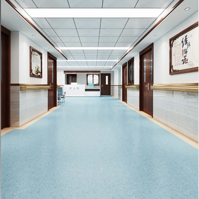 Hospitaal Cleanroom PVC-vloeren van kunststof antistatisch vinylvloerrol