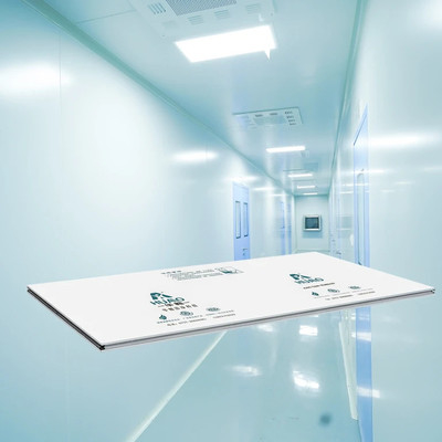 50 mm/75 mm/100 mm/ Geïsoleerd en brandwerend PU Constructie / Bouwmaterialen Cleanroom Sandwich Panels